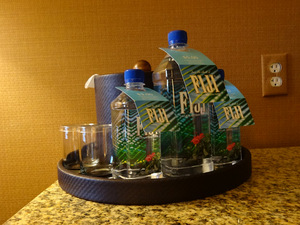 FIJI-Wasser auf unserem Hotelzimmer