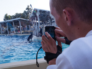 Die Orcas haben hier auch nach der Show richtig Spaß und fühlen sich wohl. Ohne Aufforderung springen sie aus dem Wasser oder spritzen die Zuschauer nass.